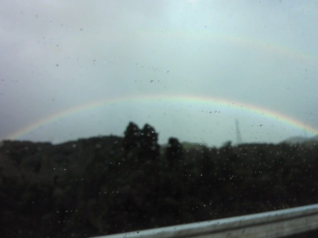 111203_094055.jpg